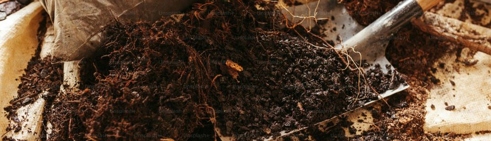 Best Soil Testing Rockhampton Company